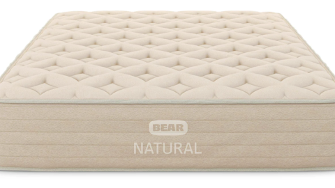bear natural mattress coupon